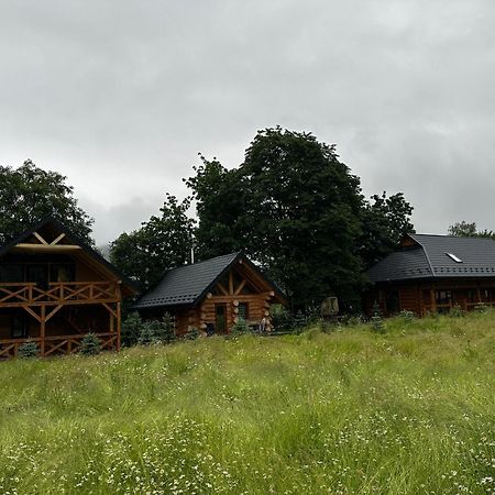 Chalet Pidstromom Villa Mykulychyn Luaran gambar