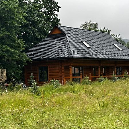 Chalet Pidstromom Villa Mykulychyn Luaran gambar