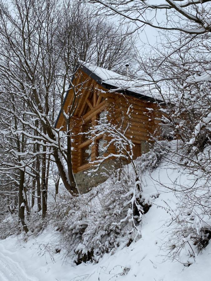 Chalet Pidstromom Villa Mykulychyn Luaran gambar