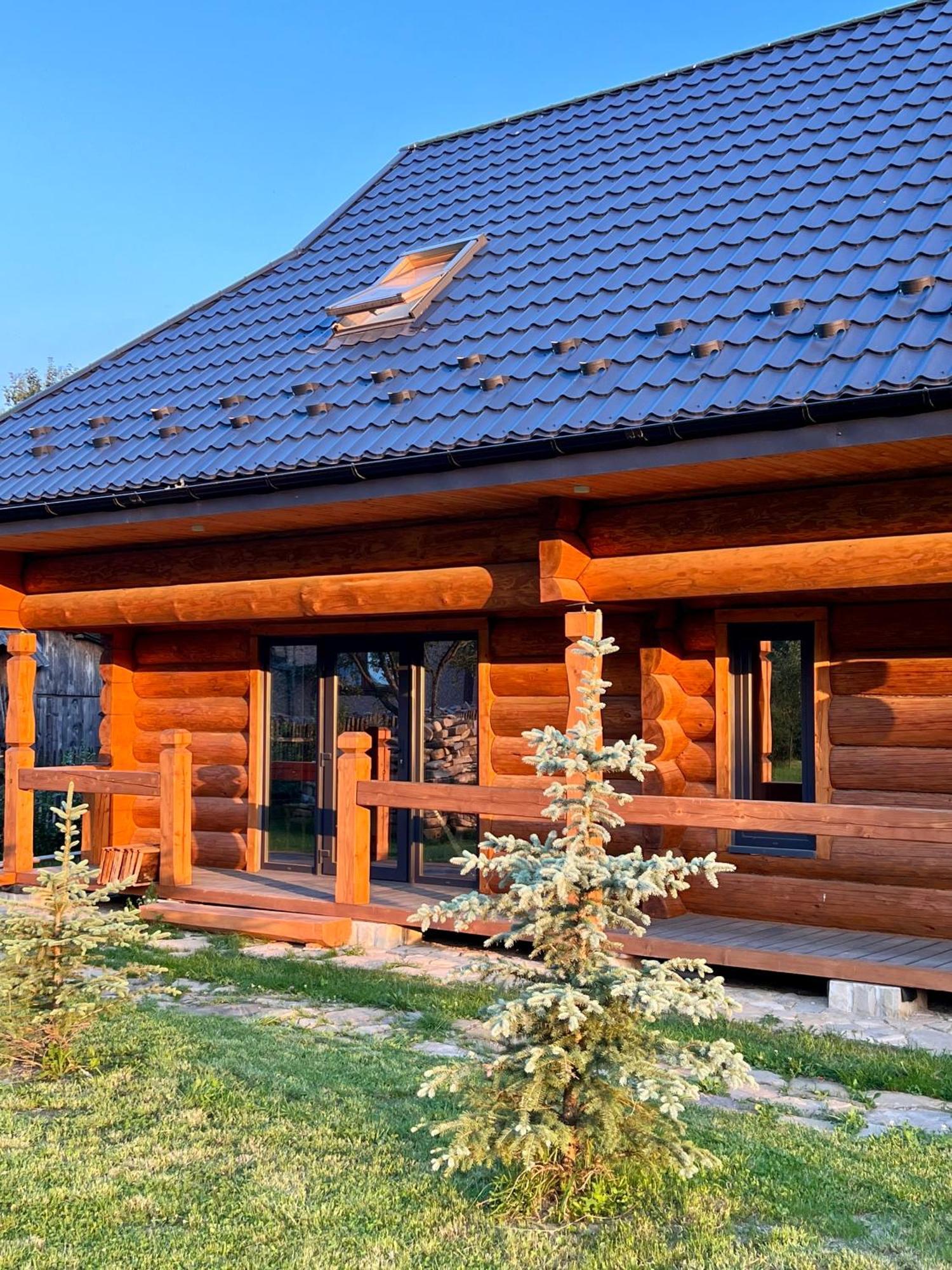 Chalet Pidstromom Villa Mykulychyn Luaran gambar