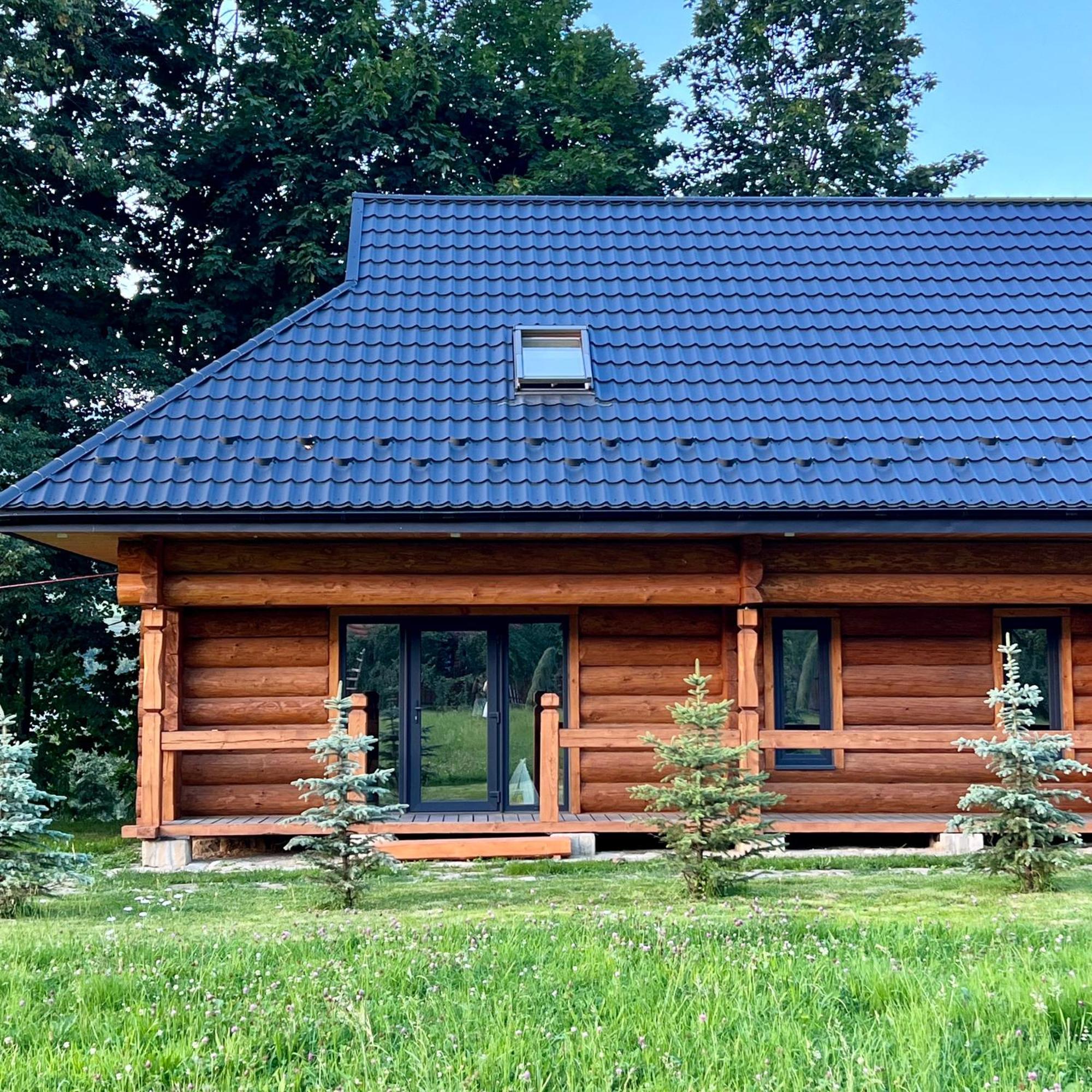 Chalet Pidstromom Villa Mykulychyn Luaran gambar