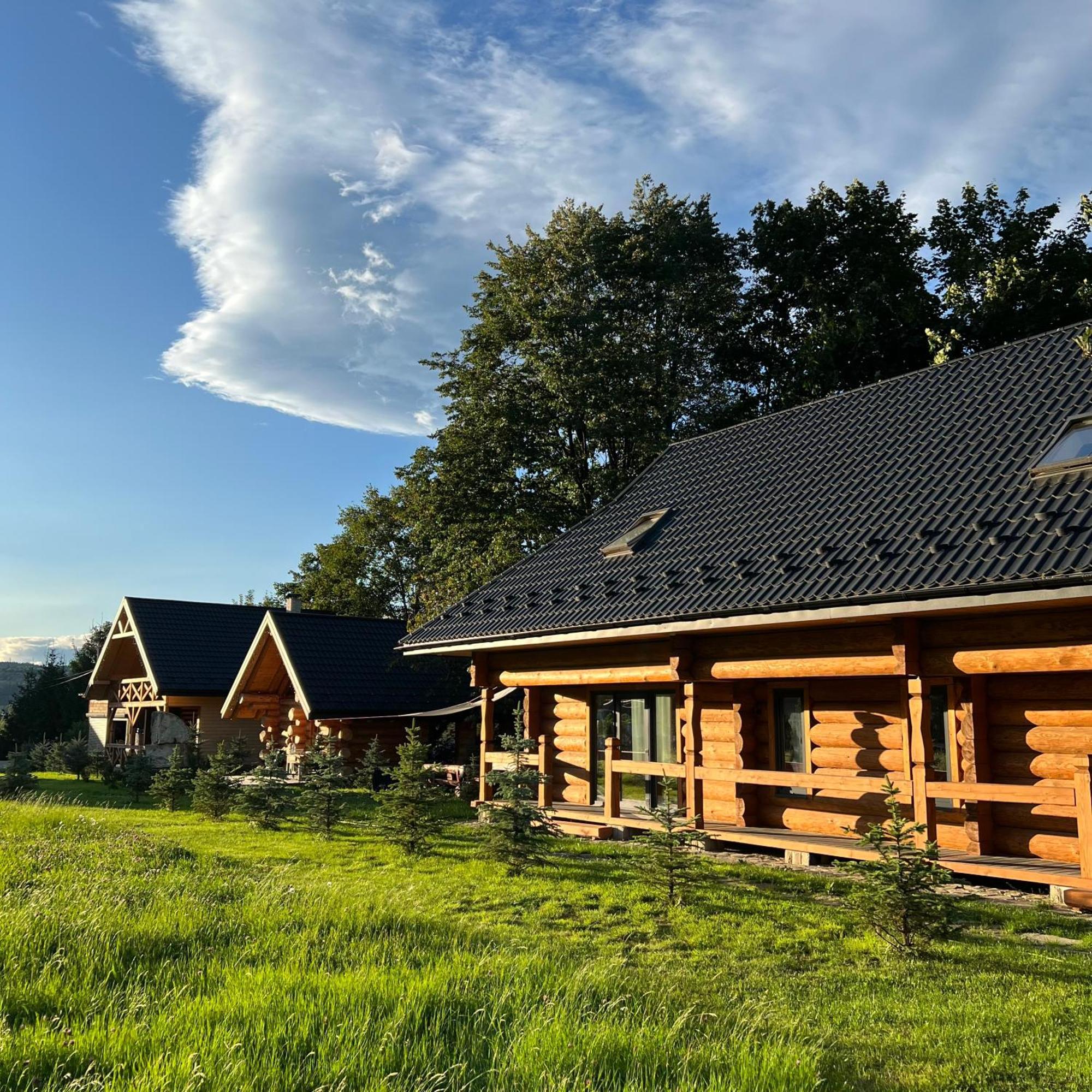 Chalet Pidstromom Villa Mykulychyn Luaran gambar